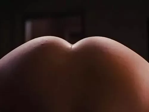 حلق الفيلم مع بوني ا ...